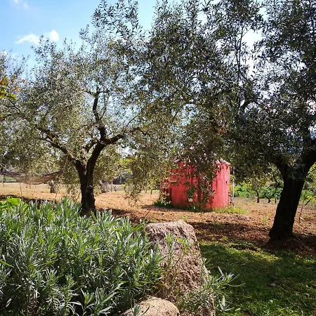 Holiday home Walter *