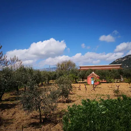 Holiday home Walter Oliena