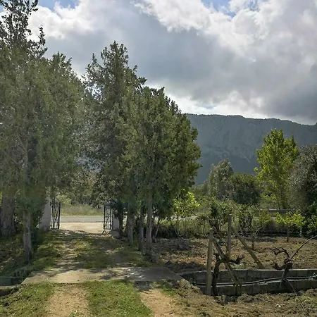 Walter Casa vacanze