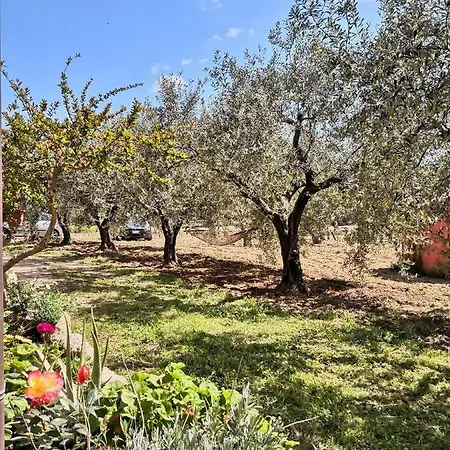 Casa vacanze Walter *